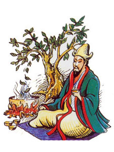 Shennong may be older than thought