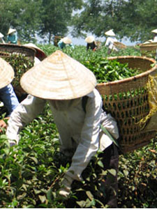 Good times ahead for Vietnam