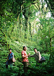 Joshua Kaiser, Rishi Tea Joshua in Yunnan Jungle