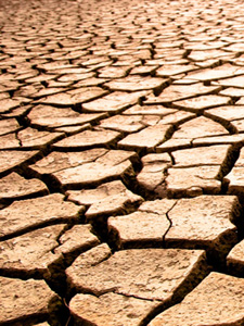 Production drying up