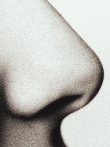 A nose for good stuff