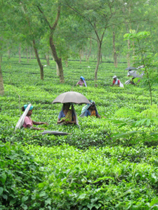 Workers putting business at risk